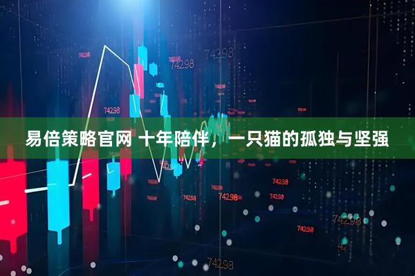 易倍策略官网 十年陪伴,一只猫的孤独与坚强