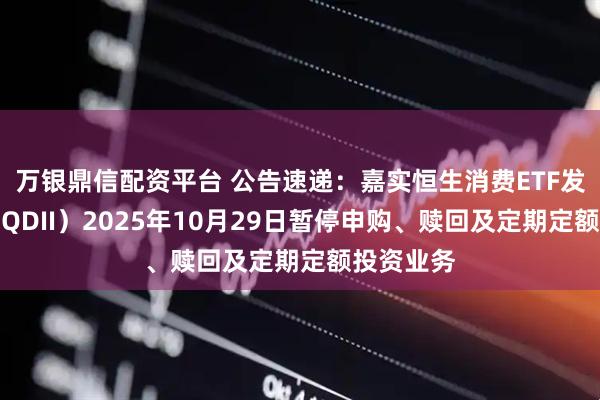 万银鼎信配资平台 公告速递：嘉实恒生消费ETF发起联接（QDII）2025年10月29日暂停申购、赎回及定期定额投资业务