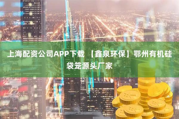 上海配资公司APP下载 【鑫泉环保】鄂州有机硅袋笼源头厂家